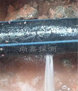天全消防管道漏点探测