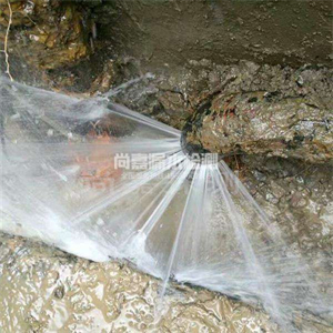 天全自来水管道漏点检测